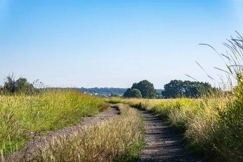 Dirt stone road going through rural areas of western Poland Photos