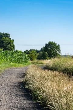 Dirt stone road going through rural areas of western Poland Photos