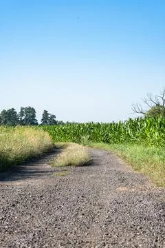 Dirt stone road going through rural areas of western Poland Foto stock