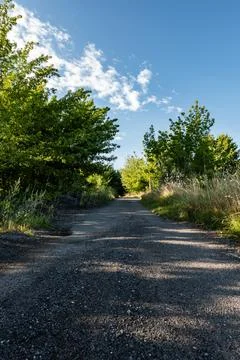 Dirt stone road going through rural areas of western Poland Foto stock