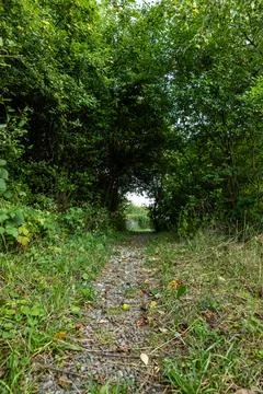 Dirt stone road going through rural areas of western Poland Foto stock