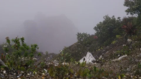 Dirt terrain with plants, smoke flying through, near Poas Volcano, Costa Rica Vidéo 123731507