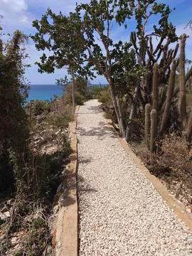 Dirt Trail to Bahia de las Aguilas Viewpoint Dominican Republic Fotos Stock
