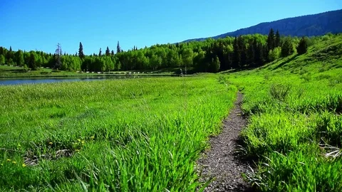 A dirt trail leads through a lush grassy meadow into the mountains of Colorado. Stock Footage 72284167