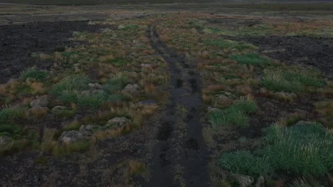 Dirt trail at night Stock Footage 341155965