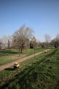 Dirt trail in a park Stock Photos