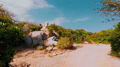 Dirt Trail Through Arid Coastal Scrubland with Cacti and Rocks Video stock 340463782