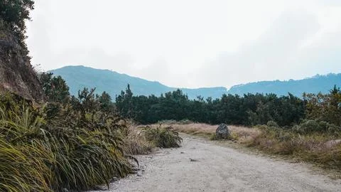 Dirt trail winding through mountain vegetation, leading to misty hills in t.. Stock Photos