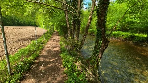Dirt trail winds beside a shallow, clear stream. Gradac River, Serbia Stock Footage 335074868