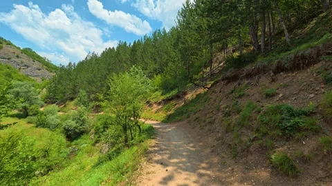 Dirt trail winds through lush green forest. Gradasnica River Canyon, Serbia Stock Footage 341961807