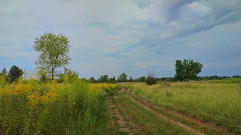 Dirt winding road in a meadow Stock Footage 205046656
