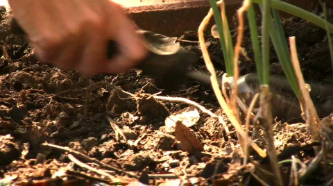 Dirt01 Stock Footage 874371