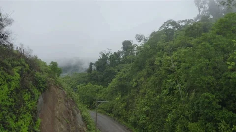 A dirtoad running through the Amazon rainforest covered in mist Stock Footage 147270319