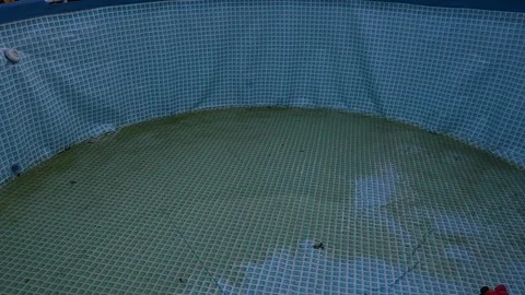 Dirty above ground swimming pool with green stagnant water, Stock Footage 341682108