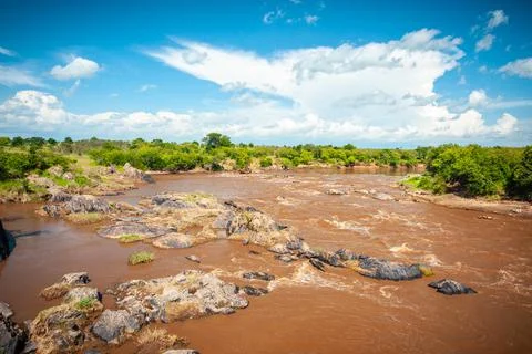 Dirty african river Stock Photos
