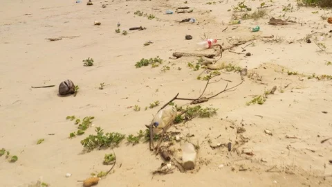 Dirty beach 2 Stock Footage 102638498