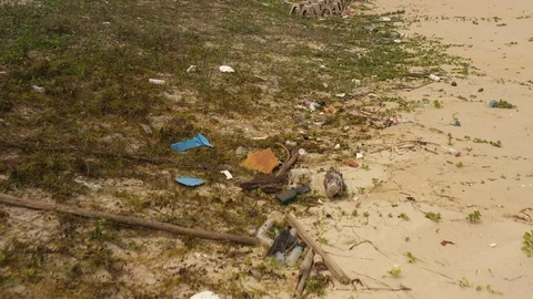 Dirty beach 3 Stock Footage 102638522