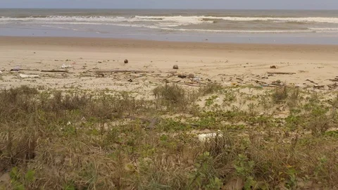 Dirty beach 4 Stock Footage 102638588