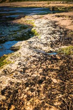 Dirty beach Stock Photos