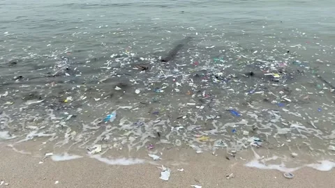 Dirty Beach, Plastic Beach, Garbage Beach Stock Footage 218090868
