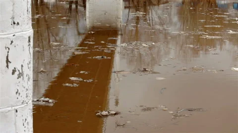 Dirty brown water in river Stock Footage 64948005