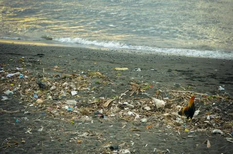 Dirty coastline. Stock Photos
