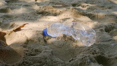 Dirty coastline of the sea. The problem of environmental pollution. Vídeo Stock 117757033