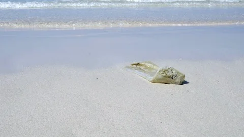 Dirty coastline of the sea. The problem of environmental pollution. Video stock 117760607