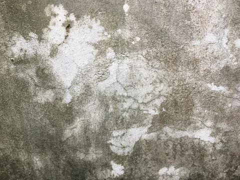 Dirty concrete wall texture for background with copy space for design Foto stock