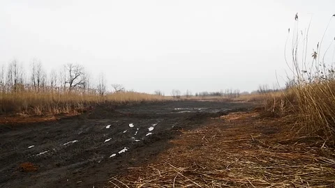 Dirty country road in spring 動画素材 220444627
