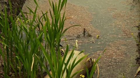 Dirty ditch Stock Footage 10731022