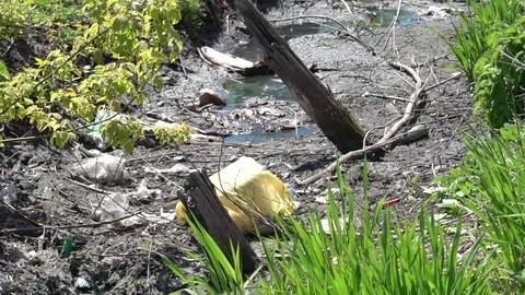 Dirty ditch Stock Footage 114804480