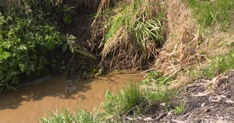 Dirty ditch in grassland Stock Footage 107269115