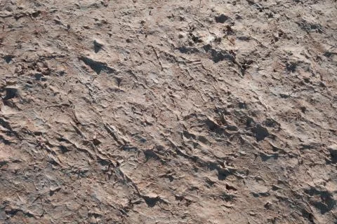 Dirty dry land surface texture Stock Photos