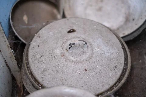Dirty, dusty, cobwebbed, old kitchen utensils in an abandoned apartment close-up Stock Photos