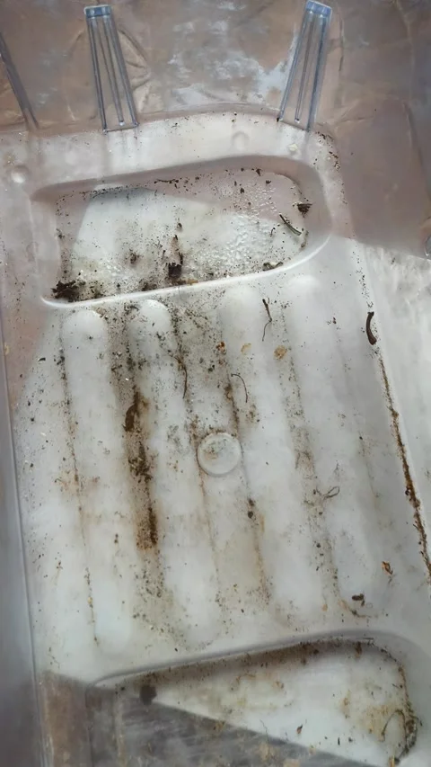 Dirty empty plastic refrigerator drawer with debris and stains on tiled floor Stock Footage 328986538