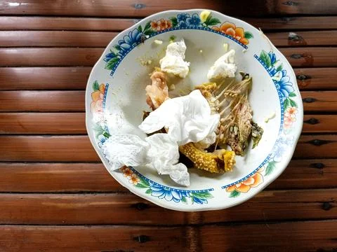 Dirty empty plate with tissue and fish bone 01 Stock Photos