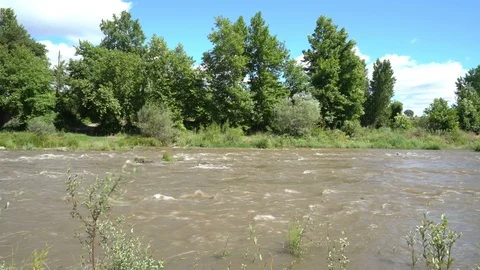 Dirty flowing river in the forest Vidéo 113297787