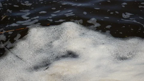 Dirty foam on the water Stock-Footage 87666450