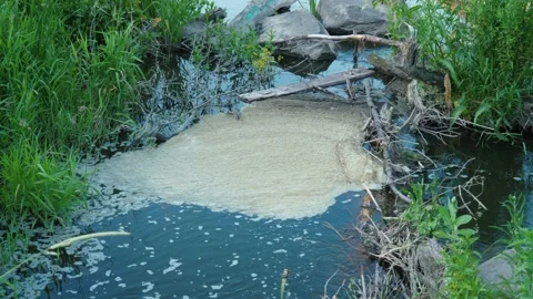 Dirty foam water Stock Footage 213960505