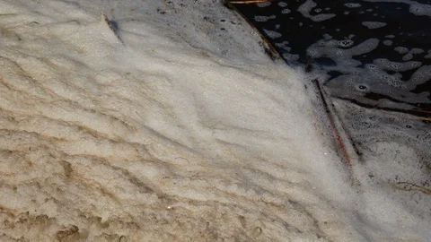 Dirty foam on the water surface Stock-Footage 87666583