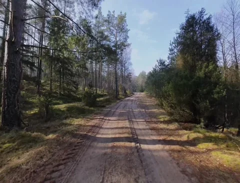 Dirty forest field road 2024 part9 Stock Footage 297634286