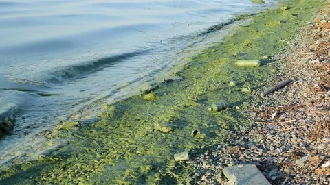 Dirty garbage on shore polluting our waters on concrete embankment Stock Footage 74549226