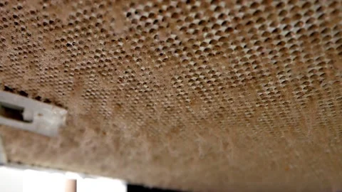 Dirty grates of the kitchen hood needs cleaning clouse up Stock Footage 219634754