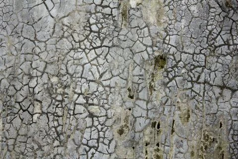 Dirty gray white concrete wall. cracks in the wall. stains of dirt and moss o Foto stock