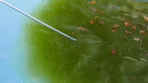 Dirty green water Stock Footage 106482858