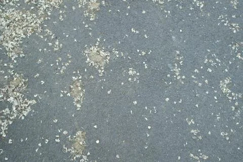 Dirty ground Stock-Fotos