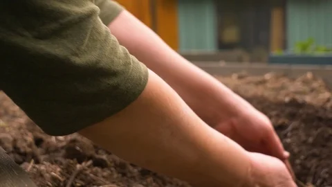 Dirty hands digging through high quality soil	 Stock Footage 122604391