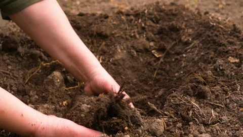 Dirty hands digging through high quality soil	 Stock Footage 122604700