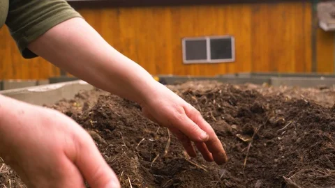 Dirty hands digging through high quality soil	 Stock Footage 122605130
